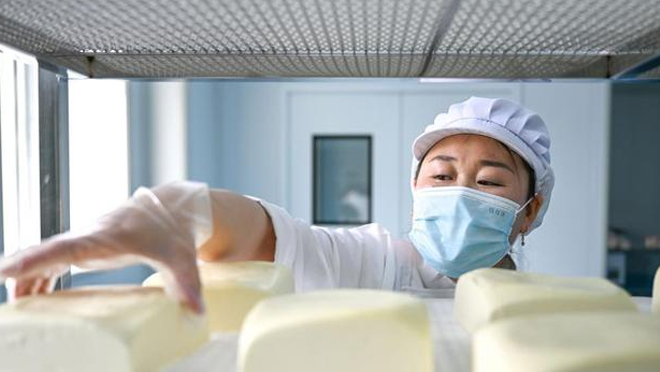 内蒙古镶黄旗：传统奶制品产业助力乡村振兴